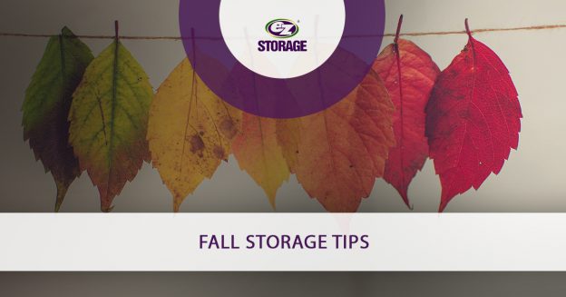 Colorful leaves hanging on string with text "Fall storage tips"