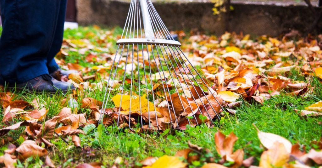 Self-Storage Detroit: Fall Storage Needs
