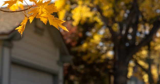Closeup of a yellow leaf with house in background during autumn